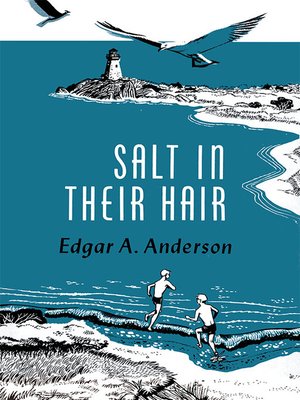cover image of Salt in Their Hair